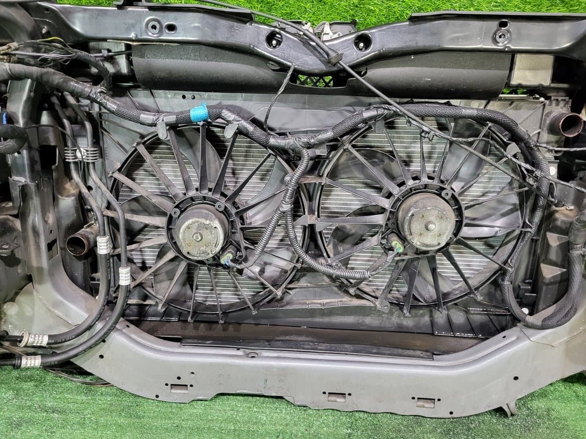 Ноускат — фото 15
