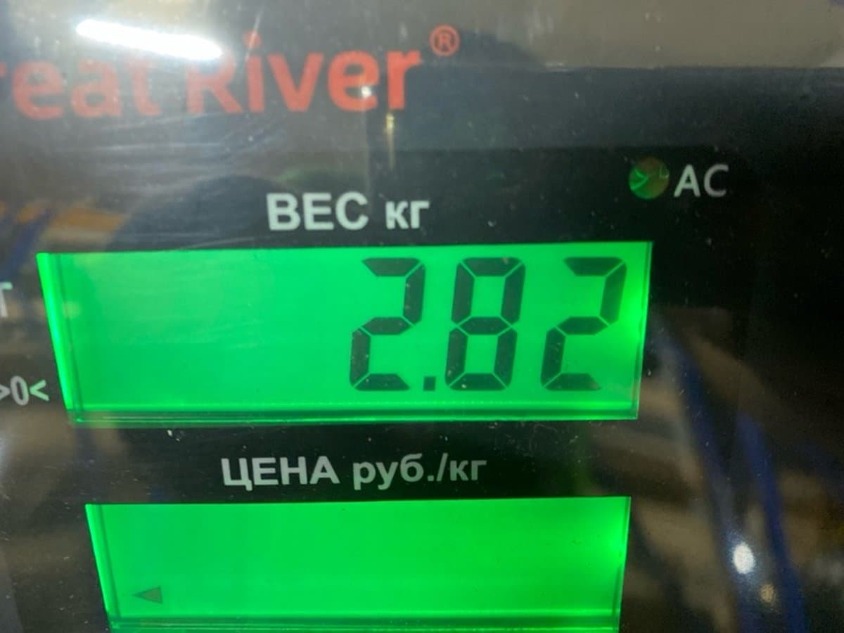 Амортизатор подвески — фото 7