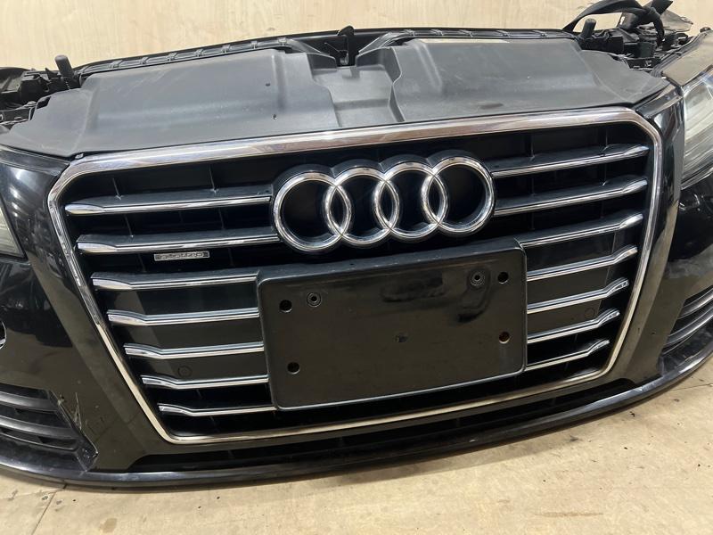 Ноускат — фото 11