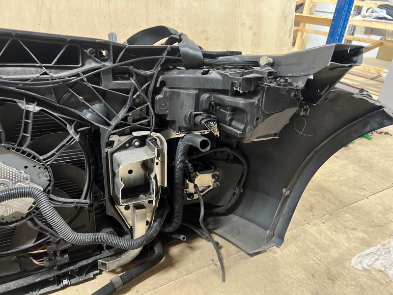 Ноускат — фото 13