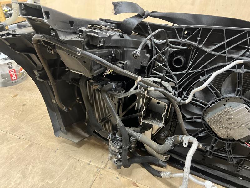 Ноускат — фото 15