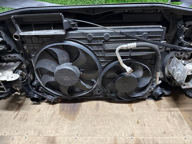 Ноускат — фото 11