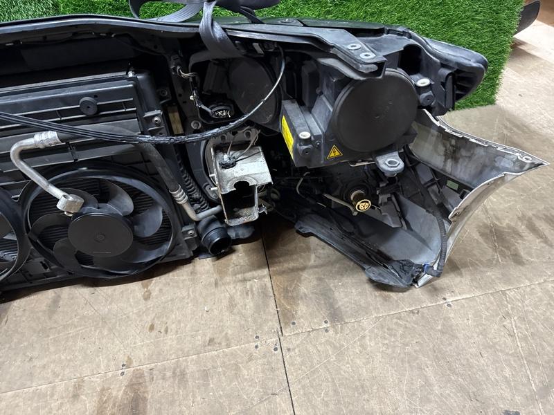 Ноускат — фото 12