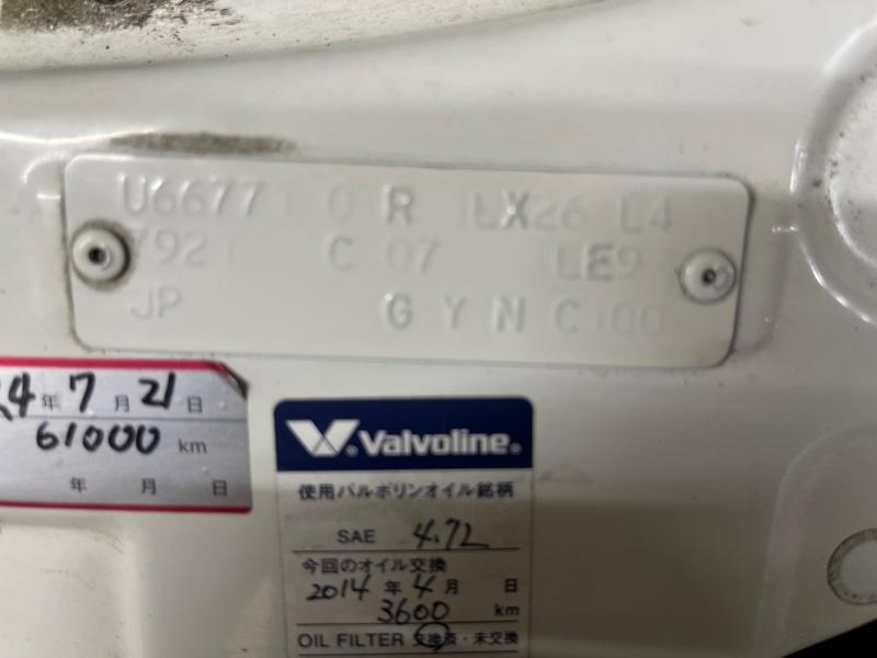 Ноускат — фото 2