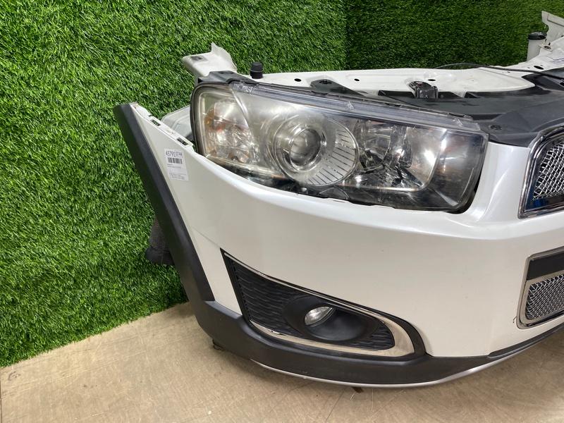 Ноускат — фото 4