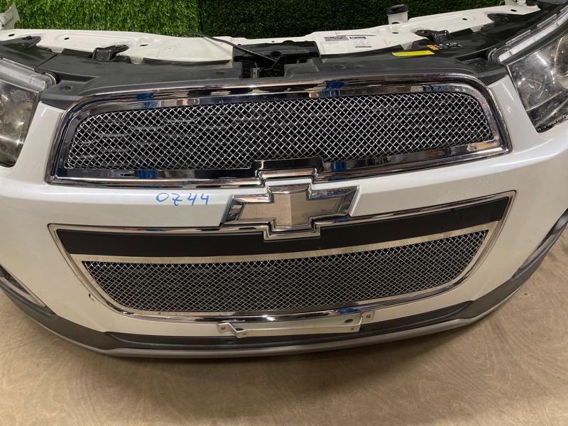 Ноускат — фото 6