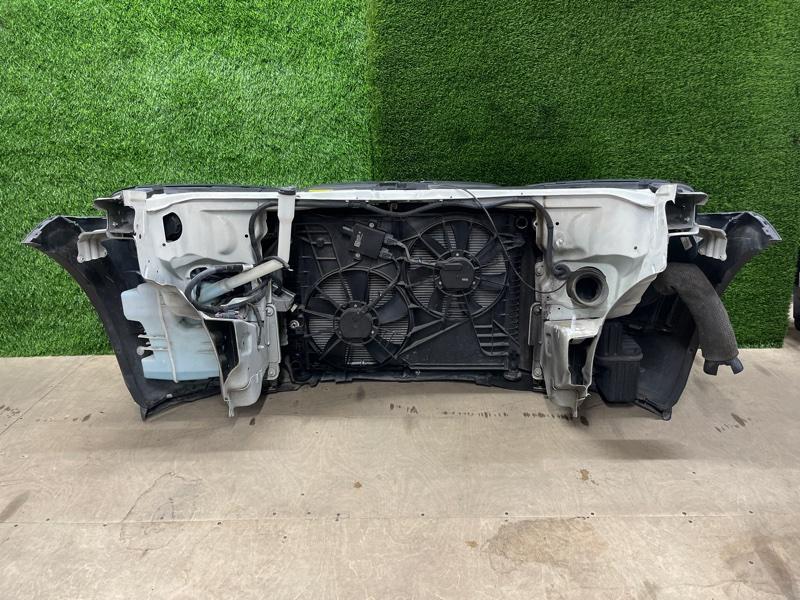 Ноускат — фото 7