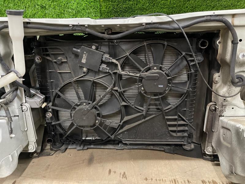 Ноускат — фото 10