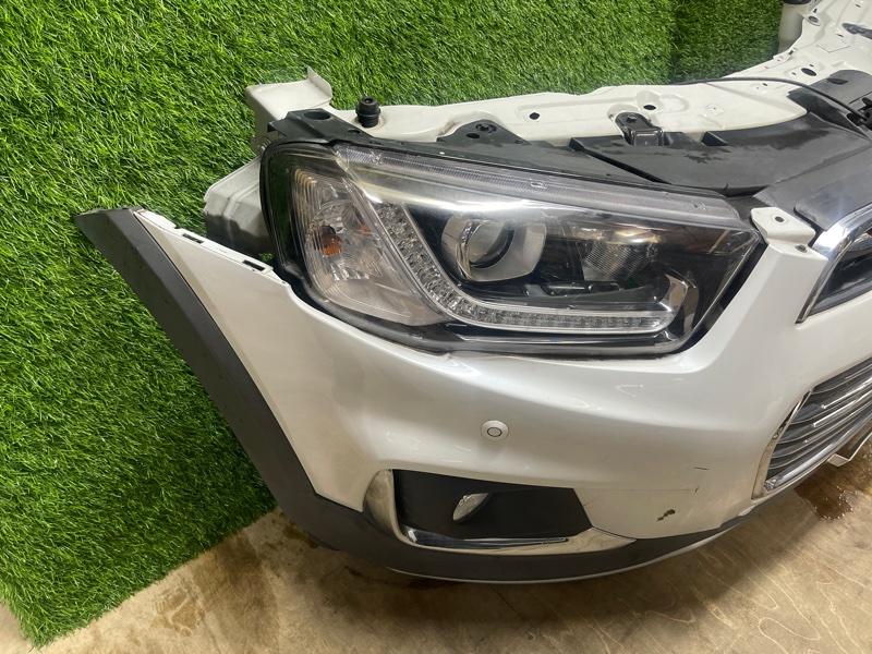 Ноускат — фото 5