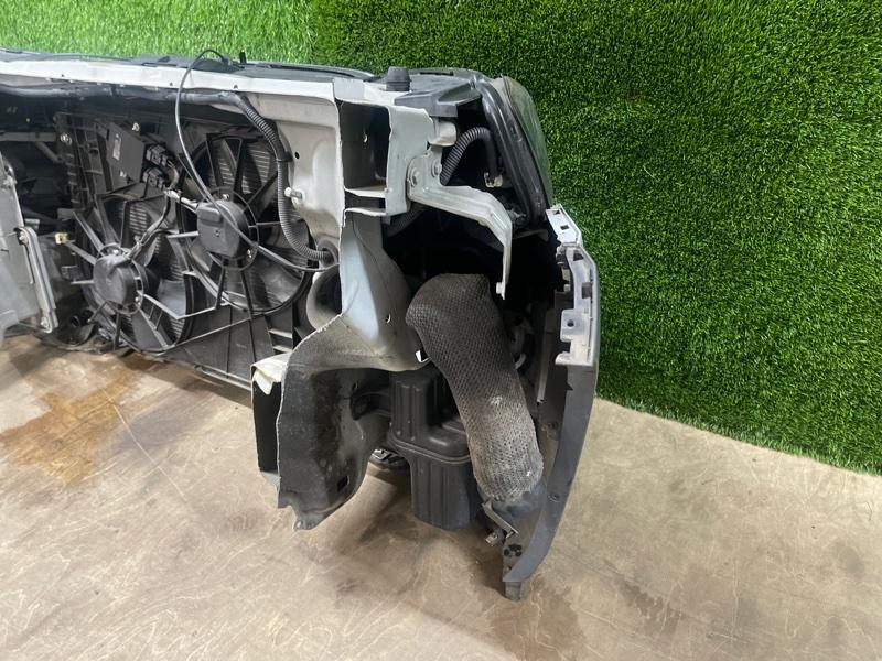 Ноускат — фото 12