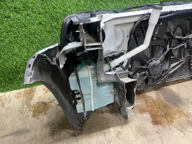 Ноускат — фото 13