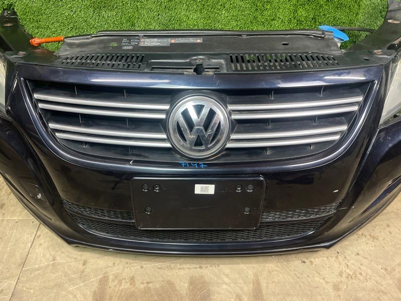 Ноускат — фото 3