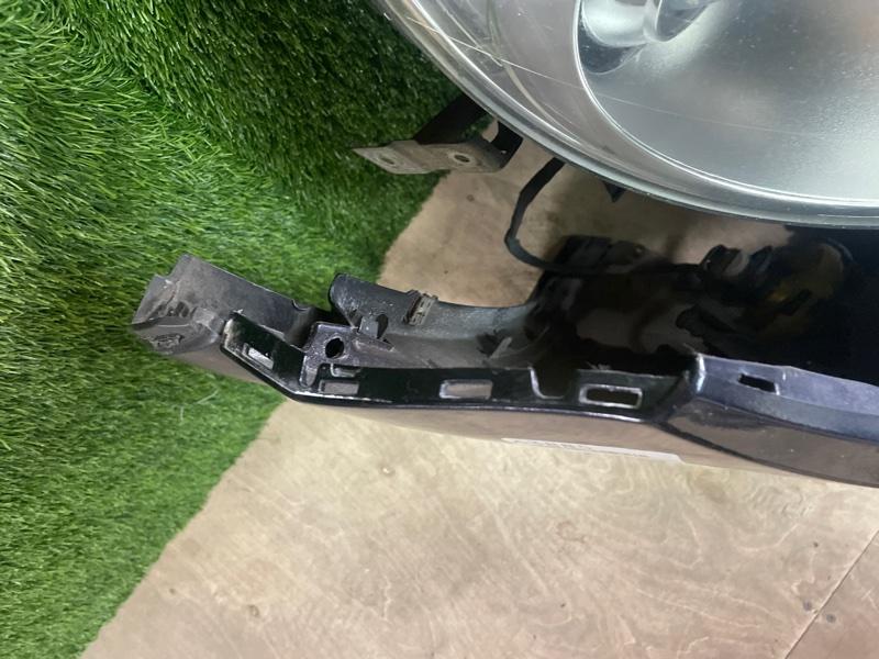 Ноускат — фото 6