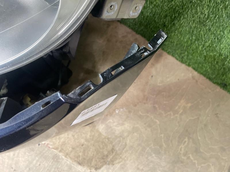 Ноускат — фото 7