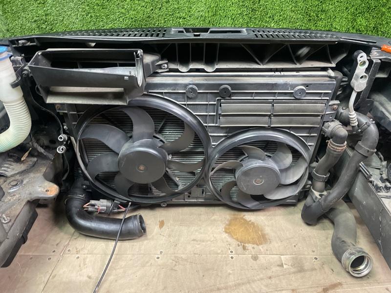 Ноускат — фото 12