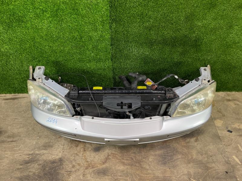 Ноускат — фото 2