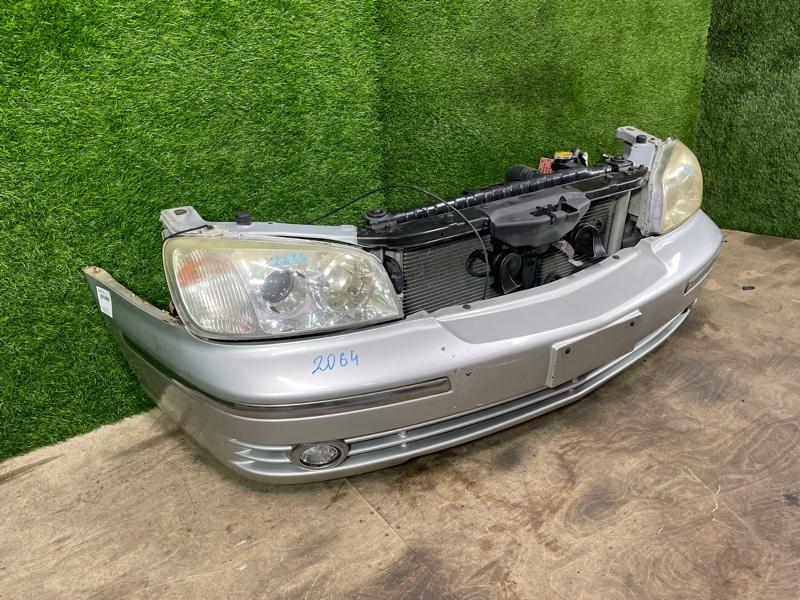 Ноускат — фото 3