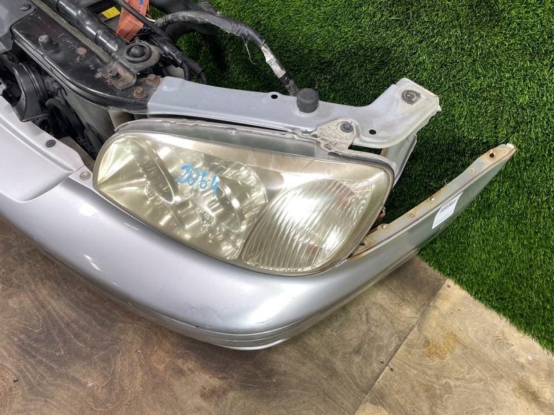 Ноускат — фото 6