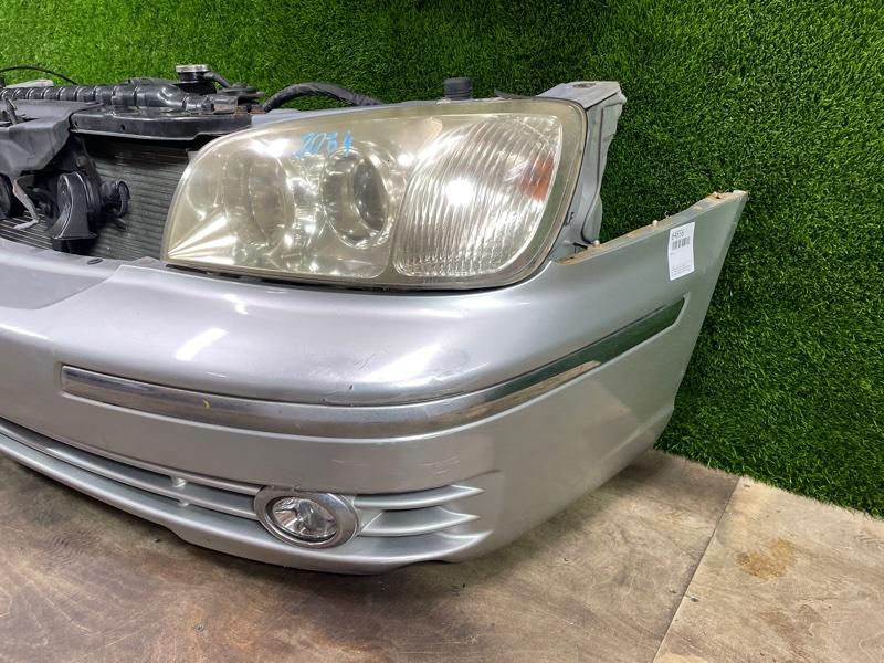 Ноускат — фото 7