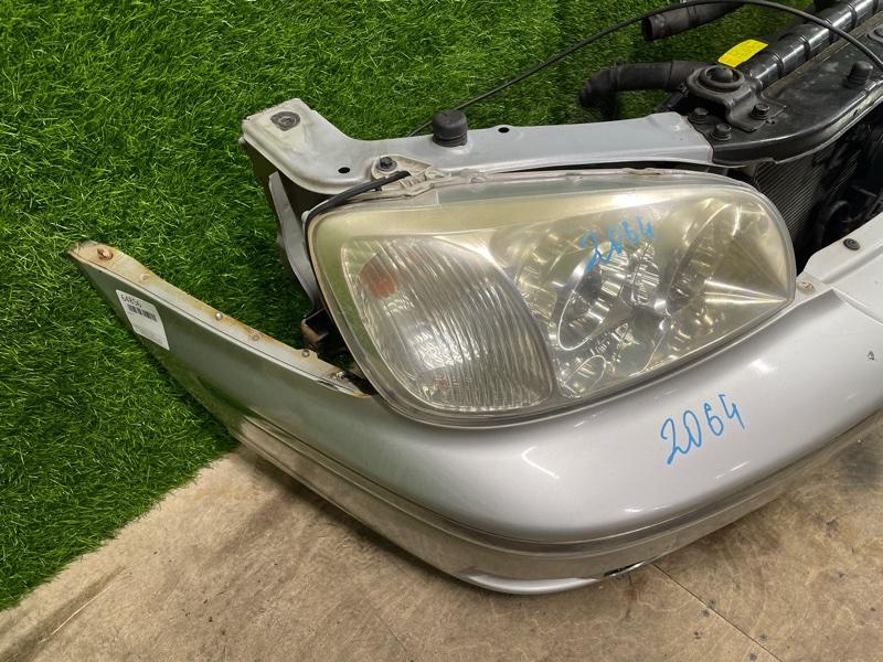 Ноускат — фото 8