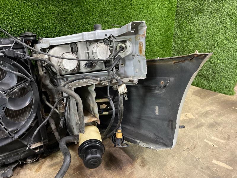 Ноускат — фото 16