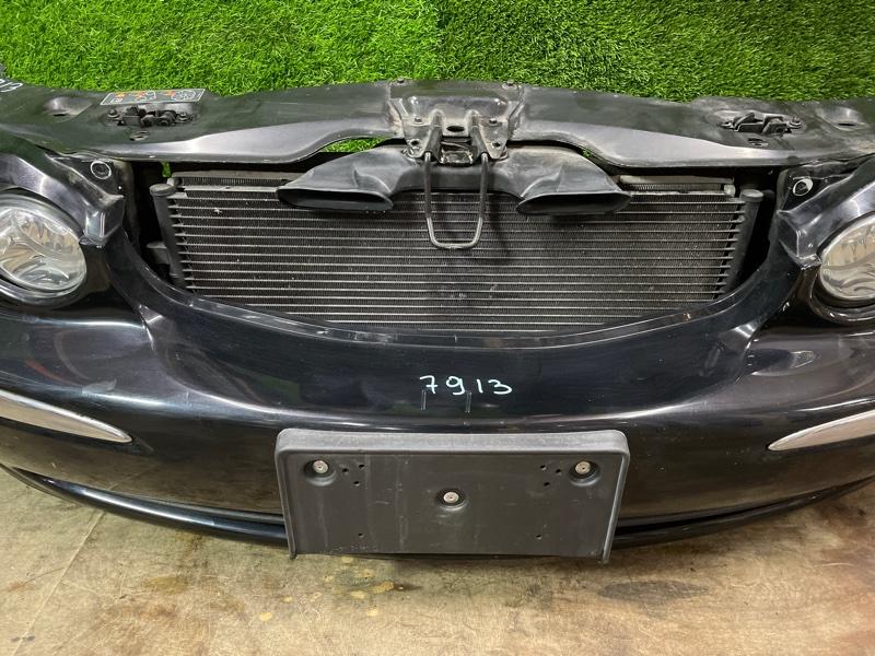 Ноускат — фото 5