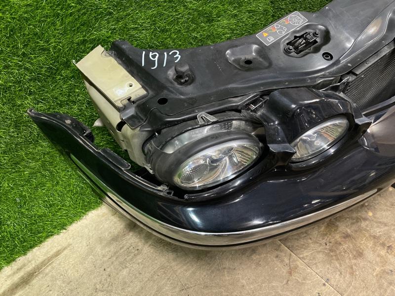 Ноускат — фото 6