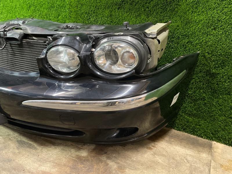 Ноускат — фото 9