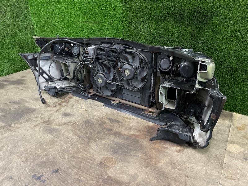 Ноускат — фото 12