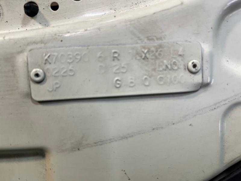 Ноускат — фото 2