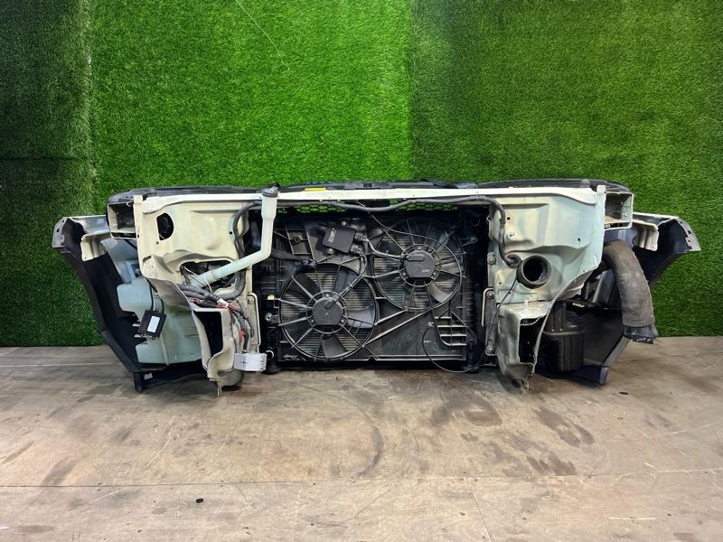 Ноускат — фото 10