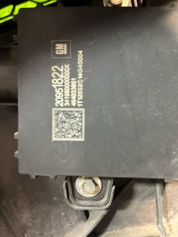 Ноускат — фото 15