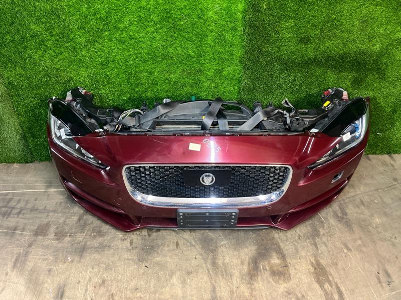 Ноускат — фото 3