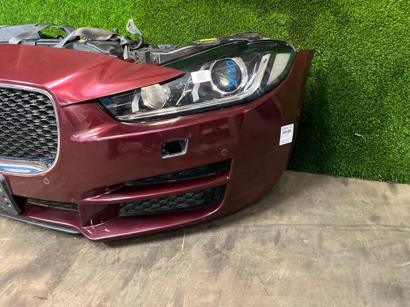 Ноускат — фото 5