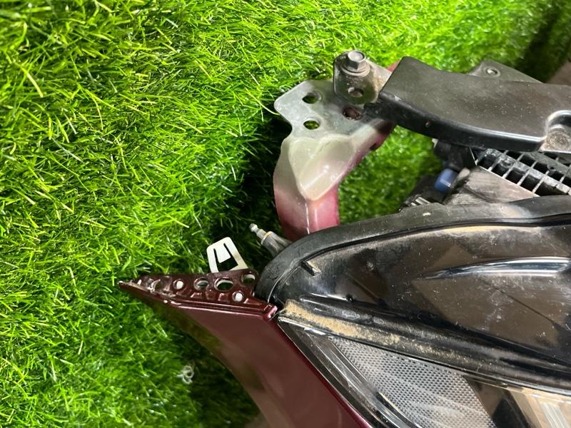 Ноускат — фото 7