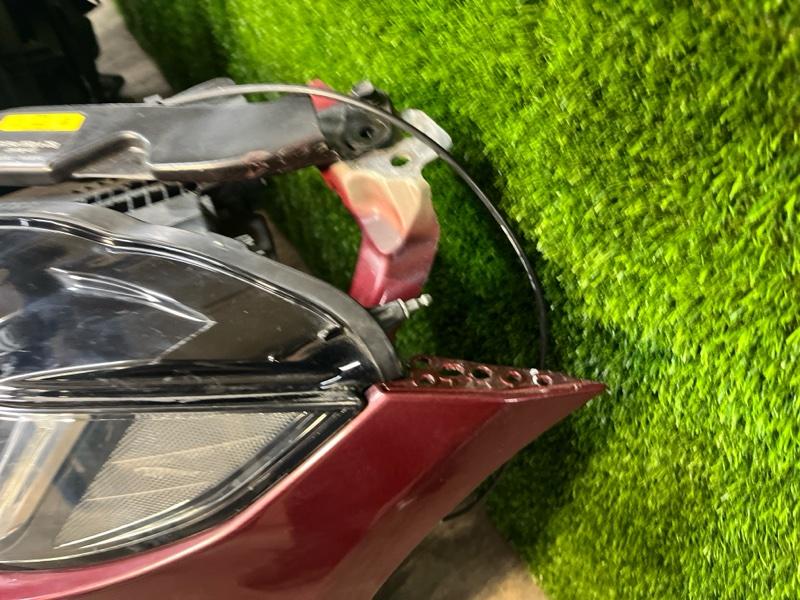 Ноускат — фото 8