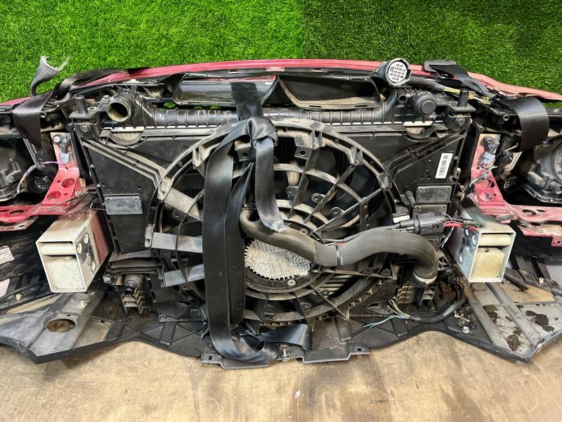 Ноускат — фото 11