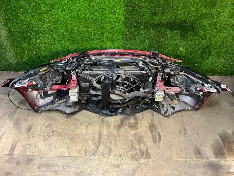 Ноускат — фото 14