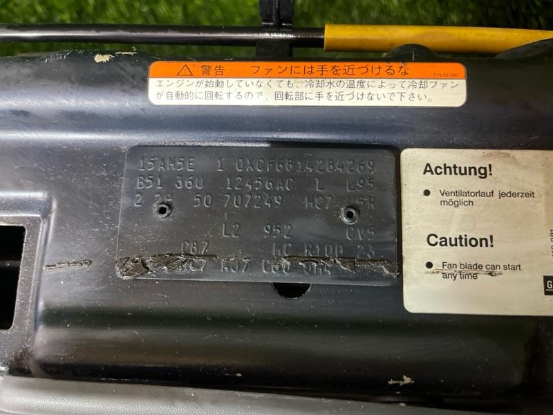 Ноускат — фото 2