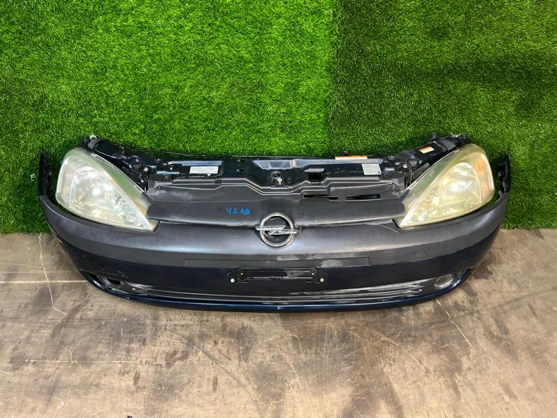 Ноускат — фото 3