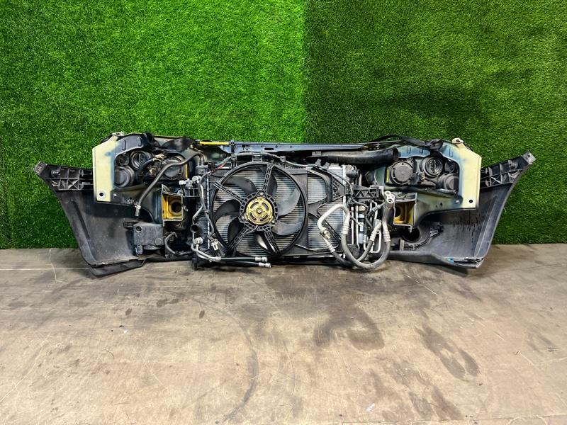 Ноускат — фото 7