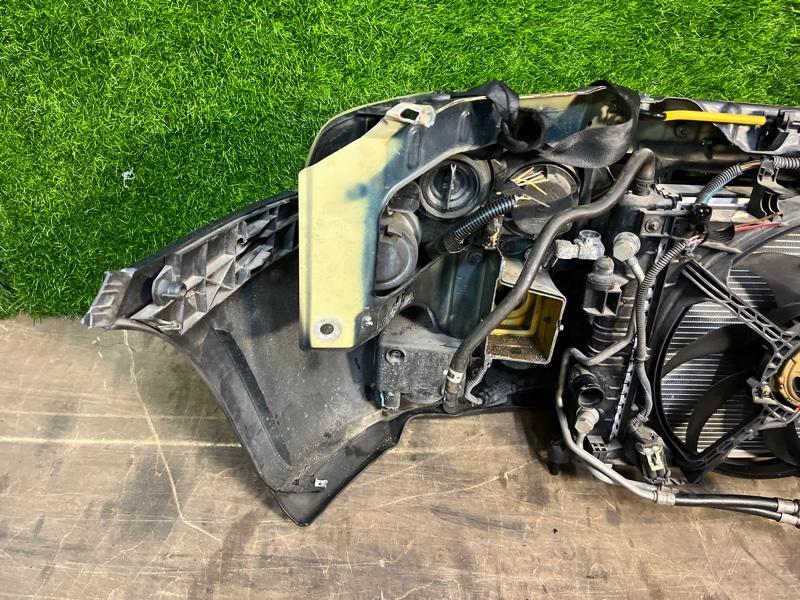 Ноускат — фото 9