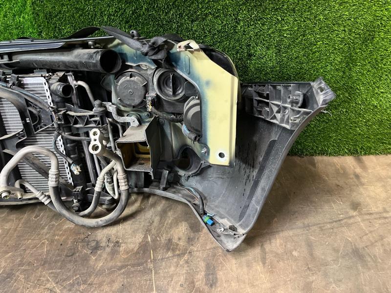 Ноускат — фото 10