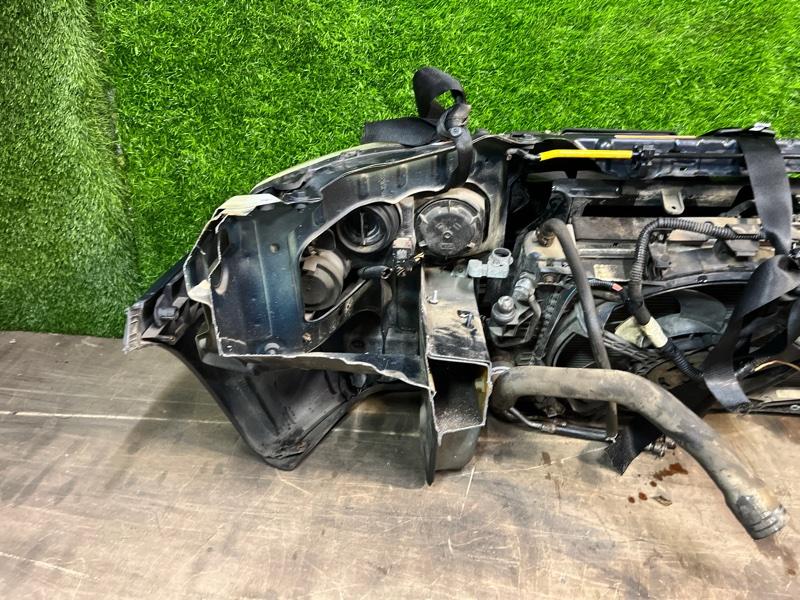 Ноускат — фото 8