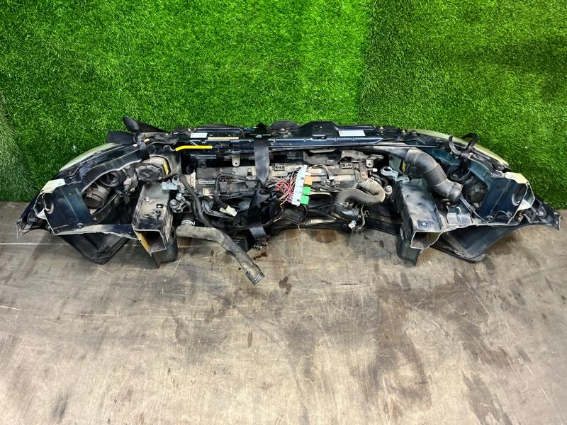 Ноускат — фото 10