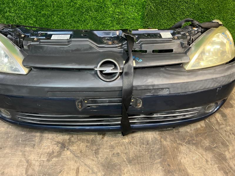 Ноускат — фото 12