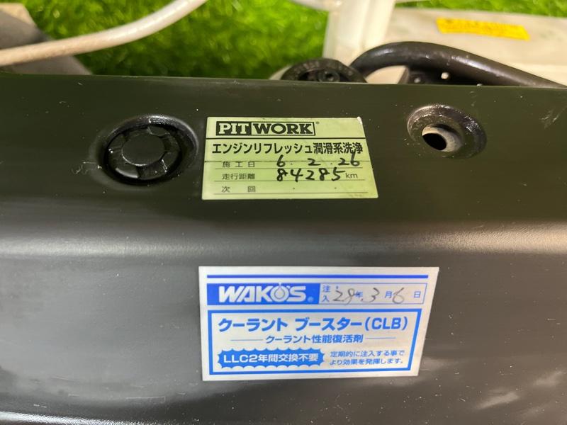 Ноускат — фото 2