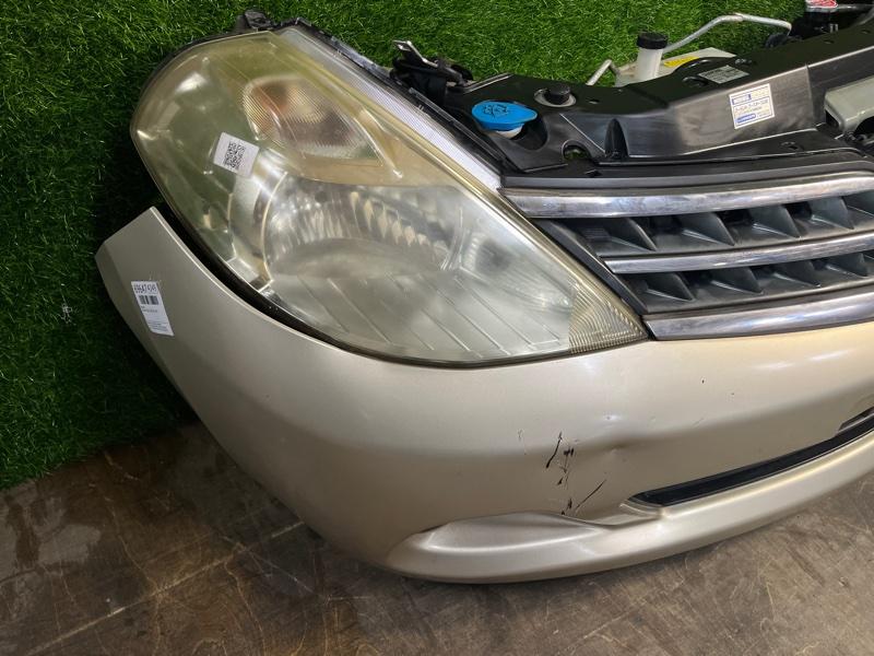 Ноускат — фото 5