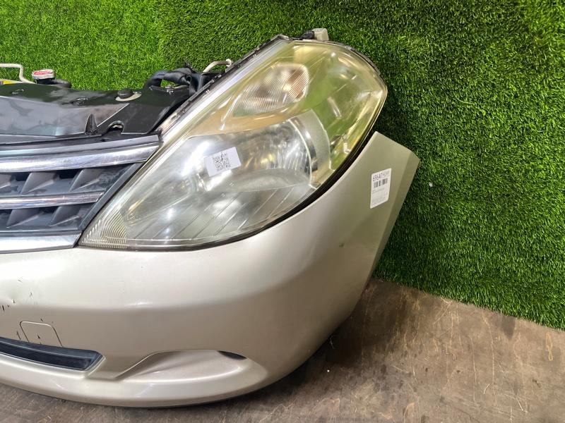 Ноускат — фото 6