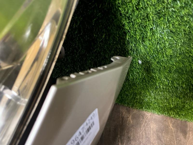 Ноускат — фото 7